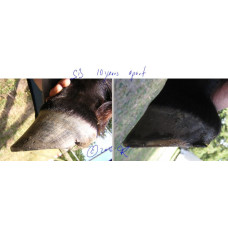 Barefoot Intro Clinic - Cust